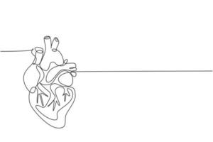 un dibujo de línea continua del órgano anatómico del corazón humano. concepto de anatomía interna médica. Ilustración de vector de diseño de moda de dibujo de una sola línea moderna