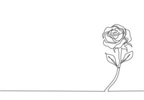 One single line drawing of fresh beautiful romantic rose flower. Greeting card, invitation, logo, banner, poster concept. Dynamic continuous line draw design vector illustration graphic