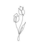 One continuous line drawing beautiful abstract tulip flower. Minimal fresh beauty natural concept. Home wall decor, poster, tote bag, fabric print. Single line draw design graphic vector illustration