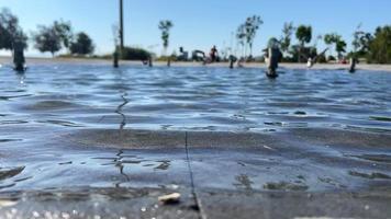 Wasserbecken und verschwommene fliegende Vögel video