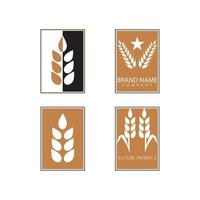 Agriculture wheat vector icon design