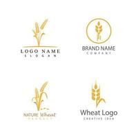 Agriculture wheat vector icon design