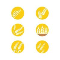 Agriculture wheat vector icon design