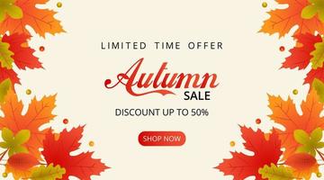 Autumn sale background with fallen autumn leaves vector