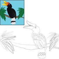 Hornbill bird also known as Rangkong, vector sketch coloring page. Kids, children, animal vector stock theme