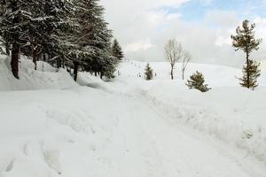 malam jabba y kalam swat paisaje paisaje foto