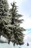 Malam Jabba and Kalam Swat Scenery Landscape photo