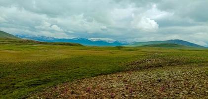 parque nacional deosai foto