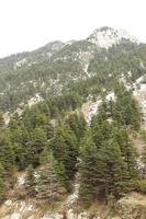 Malam Jabba and Kalam Swat Scenery Landscape photo