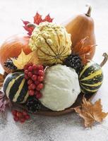 Autumn composition with assorted pumpkins photo