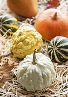Autumn composition,  cozy fall season,  pumpkins and leaves photo