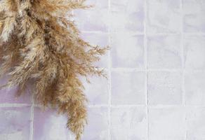 Flatlay of pampas grass on tile background photo