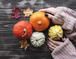 Female hands holding autumn pumpkins