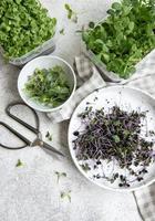Assortment of micro greens on wooden table photo
