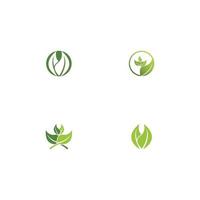 Logos of green Tree leaf ecology vector