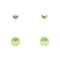 Logos of green Tree leaf ecology vector