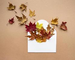 Envelope with dried leaves on pastel brown background photo