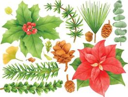 Christmas plants decoration elements illustrations watercolor styles vector
