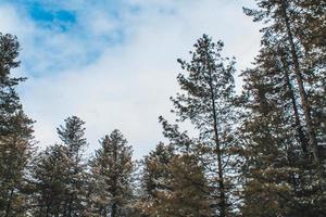 Malam Jabba and Kalam Swat Scenery Landscape photo