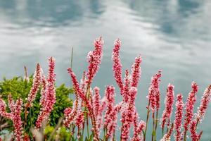 Kumrat Valley Beautiful Landscape Mountains View photo