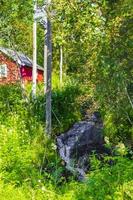 Mountains red farmhouses river forest landscape nature in Norway photo