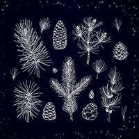Set of coniferous plant decor elements in sketch style isolated on dark blue background. Vector illustration of fir, pine, larch branches and cones for Christmas and New Year decoration