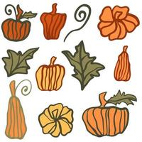 Set of different pumpkins freehand drawing vector illustration