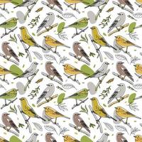 Ilustración de aves de patrones sin fisuras. colección de lindos garabatos de pájaros dibujados a mano. estilo de línea en minimalismo en imagen vectorial blanca