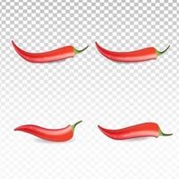 Realistic red chili collection set on transparent white background vector