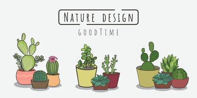 cactus painting Set, potted plants isolated on white background vector