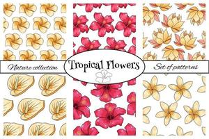 Tropical pattern with exotic plants flowers and leaves in cartoon style vector