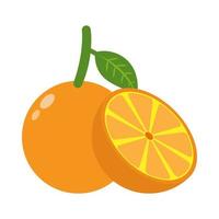 Vector illustration of orange fruit cut icon