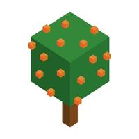 Isometric tree illustration vector on a white background