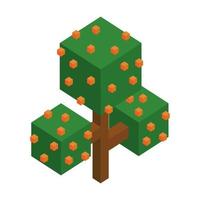 Isometric tree illustration vector on a white background