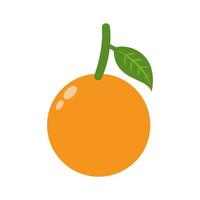 Vector illustration of orange fruit cut icon