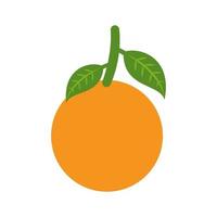 Vector illustration of orange fruit cut icon