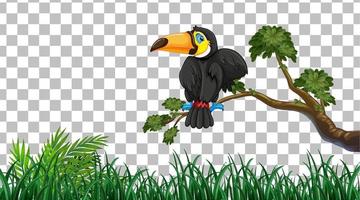 Toucan on the grass field on grid background vector