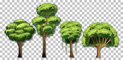 Set of different trees on grid background vector