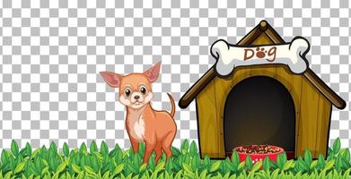 Chihuahua dog with dog house on grid background vector