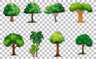 Set of variety trees on grid background vector