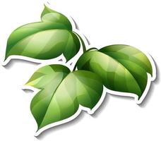 Tropical leaves brush sticker on white background vector