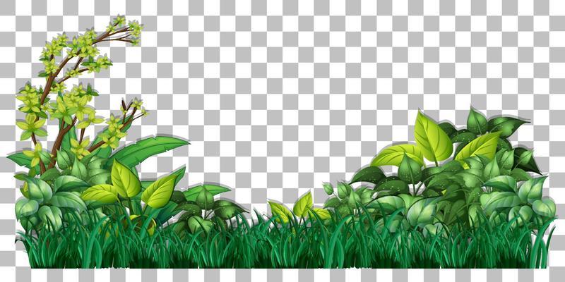 Grass and plants on grid background for decor