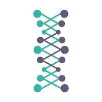 DNA double helix violet and turquoise color icon vector