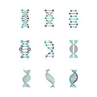 DNA double helix violet and turquoise color icons set vector