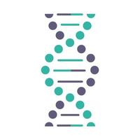 DNA spiral violet and turquoise color icon vector