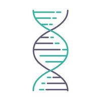 DNA double helix violet and turquoise color icon vector