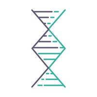 Diamond-shaped DNA helix violet and turquoise color icon vector