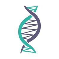 Left-handed DNA helix violet and turquoise color icon vector