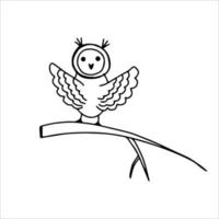 vector image owl on white background, hand drawn, doodle