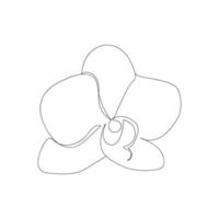 Continuous one line Phalaenopsis orchid flower. Moden style flower for logo, icon emblem or web banner. Hand drawn minimalism style vector illustration.